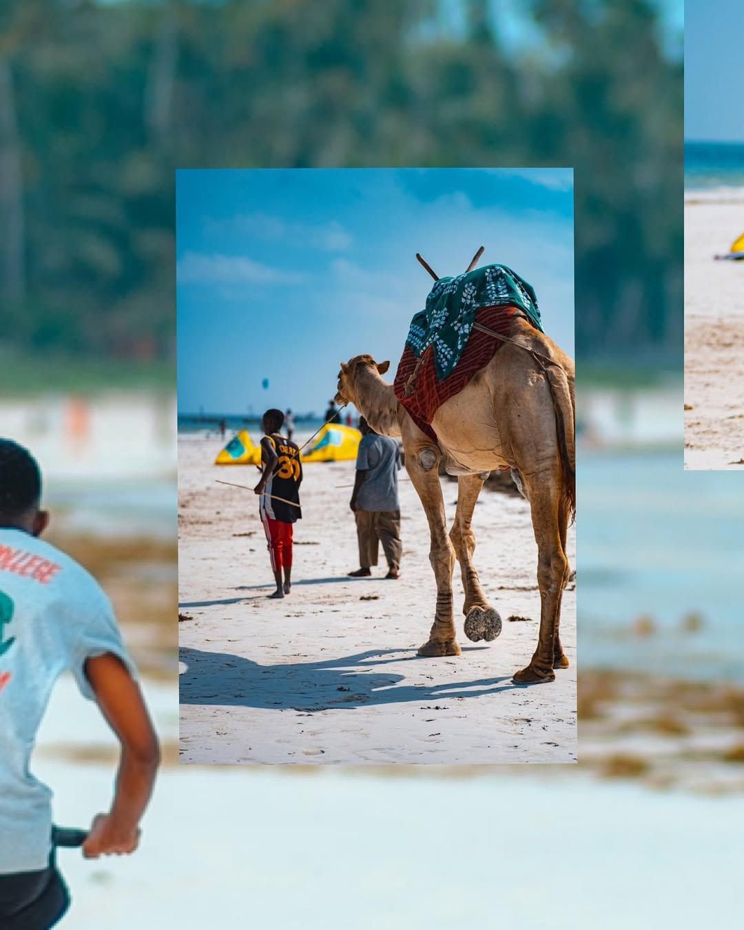 Diani beach resort life